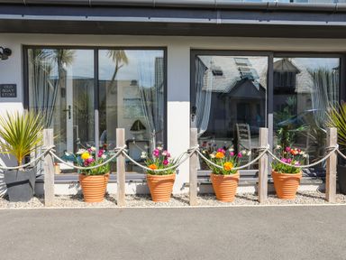 Four flower pots with colorful flowers outside a building with large windows at The Old Boat Store in Morfa Nefyn