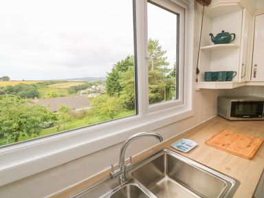 A kitchen countertop with a stainless steel sink cutting board microwave and green mugs and teapot on shelves by a window with a view of trees and rooftops at Little Valley View in Angarrack