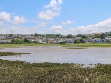 A coastal marshland with water and grass in the foreground and houses in the background at Little Valley View in Angarrack