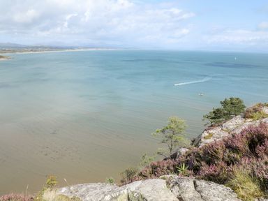 A coastal view from a cliff with rocks trees and purple flowers overlooking the sea at Songbird Hideaway in Pwllheli