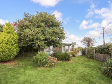 A small house with a garden and various green plants and trees at Songbird Hideaway in Pwllheli