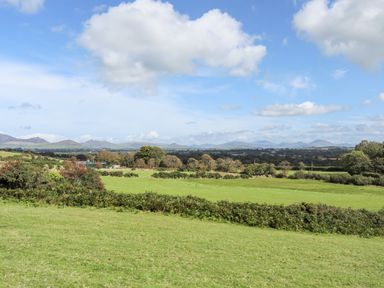A green field with bushes and trees under a blue sky with clouds at Songbird Hideaway in Pwllheli