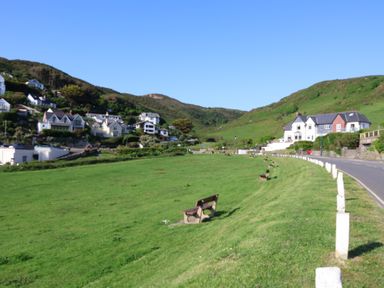 A green field with benches along a road and houses on hillside at Rosebank Cottage in Mortehoe