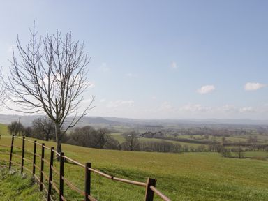 A rural landscape with a bare tree and a metal fence overlooking fields and distant hills at Hunters Moon in Tenbury Wells