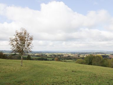 A grassy hill with a single tree overlooking a rural landscape with fields and distant hills at Hilltop House in Tenbury Wells