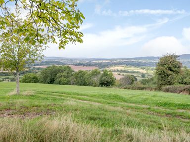A green field with a tree and a view of distant hills at Hilltop House in Tenbury Wells