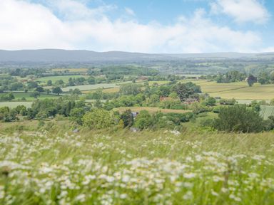 A field with flowers and green trees and hills in the background at The Chestnuts in Tenbury Wells