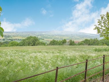 A grassy field with white flowers and a metal fence with hills in the background at The Chestnuts in Tenbury Wells
