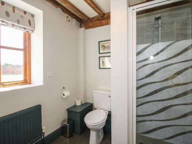 A bathroom with a toilet and shower at The Chestnuts in Tenbury Wells