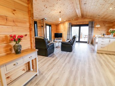 An open living room and kitchen area with black leather chairs a wood stove a television and flowers on tables at Bryn Eiddon Log Cabin in Machynlleth