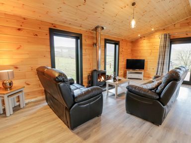 A living room with two leather sofas a wood burning stove and a television at Bryn Eiddon Log Cabin in Machynlleth