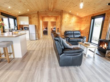 An open living space with a kitchen area including a fridge and stools two black sofas a coffee table and a wood burning stove at Bryn Eiddon Log Cabin Machynlleth