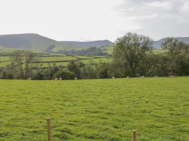 A green field with sheep grazing and trees with hills in the background at Bryn Eiddon Log Cabin in Machynlleth