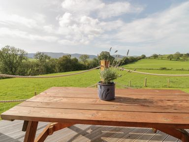 A wooden picnic table with a flower pot on top and a green field with trees and hills in the background at Bryn Eiddon Log Cabin in Machynlleth