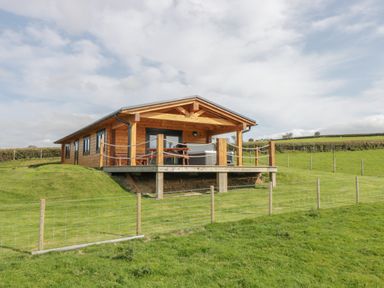 A wooden cabin with a covered porch and outdoor furniture on a grassy hill at Bryn Eiddon Log Cabin in Machynlleth