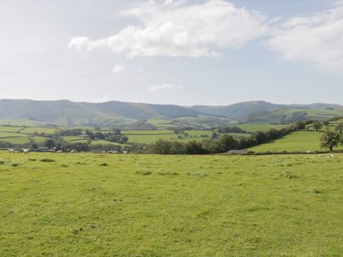 A green grassy field with cows and hills in the background at Bryn Eiddon Log Cabin in Machynlleth