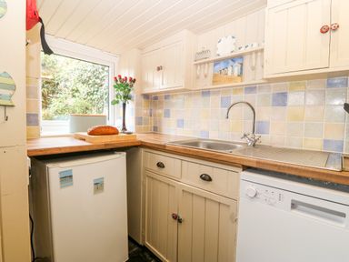 A small kitchen with a fridge a dishwasher a sink wooden countertops and a window with flowers on the counter at Tyddyn Serri in Rhosneigr