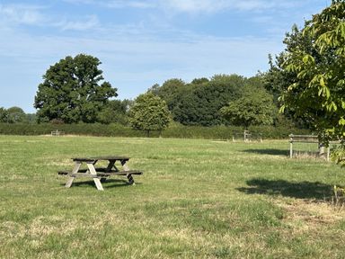 A picnic table in a grassy area at Keepers Cottage West Knoyle
