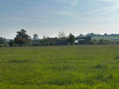 A field with trees and buildings at Keepers Cottage in West Knoyle