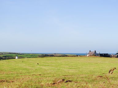 A green field with scattered birds and houses near the coast at Ty ar Ben Bryn in Pencarnisiog near Rhosneigr