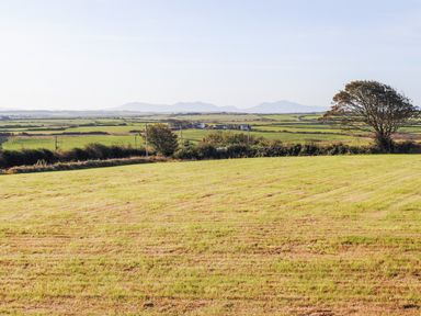 A grassy field with a tree on the right and distant hills at Ty ar Ben Bryn in Pencarnisiog near Rhosneigr