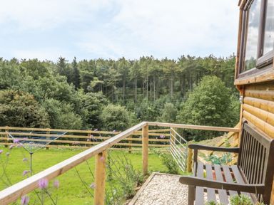 A wooden bench on a porch overlooking a grassy yard with a rotary clothesline and trees at Castle View Cabin in Cloughton