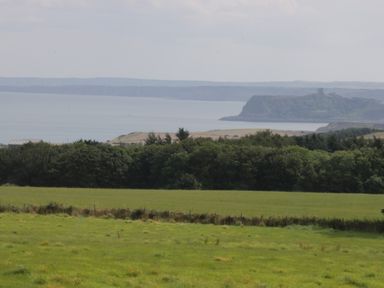 A grassy field with trees in the background and a body of water with a headland in the distance at Castle View Cabin in Cloughton