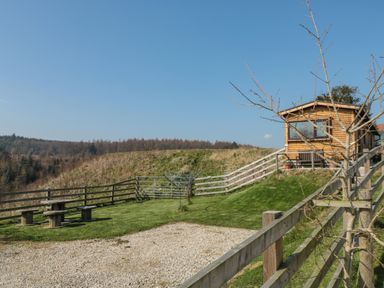 A small wooden cabin with a bench outside surrounded by a wooden fence and grass at Castle View Cabin in Cloughton