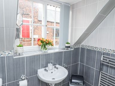 A bathroom with a white sink a window with flowers and plants and a towel heater at Station View in Whitby