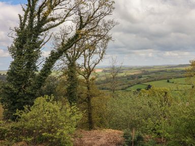A landscape view of fields and trees with a cloudy sky at Scenic Views in High Bickington