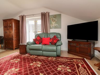 A living room with green leather sofa red cushions television on wooden cabinet and red patterned rug at Scenic Views in High Bickington