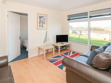 A living room with brown leather sofas a tv on a wooden table and a rug with a union jack design at 304 Norton Park Dartmouth