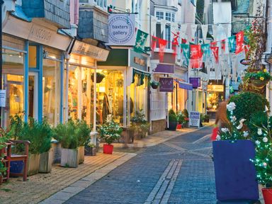 A narrow street with shops and galleries decorated with plants and flags at 304 Norton Park in Dartmouth