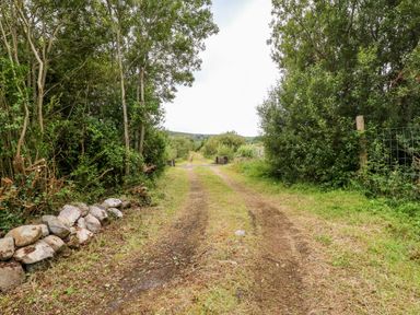 A dirt road flanked by trees and wire fences with stone edging at Kealduff Lower in Glenbeigh County Kerry