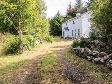 A dirt driveway leading to a white house surrounded by trees and a stone wall at Kealduff Lower in Glenbeigh County Kerry