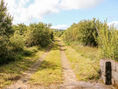 A dirt road lined with bushes and trees under a cloudy sky at Kealduff Lower in Glenbeigh County Kerry
