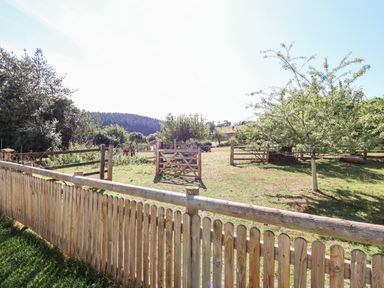 A fenced grassy yard with wooden gates and trees under a clear sky at Aluric's Hall in Porlock