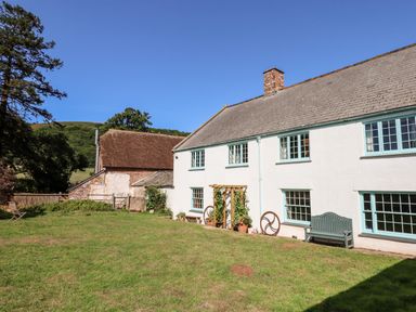 A grassy yard with a white house with blue window frames and a wooden bench at Aluric's Hall in Porlock