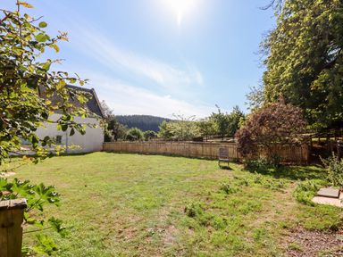 A fenced grassy backyard with a wooden chair and trees near Aluric's Hall in Porlock