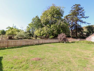 A grassy yard with a wooden fence and trees in the background at Aluric's Hall in Porlock
