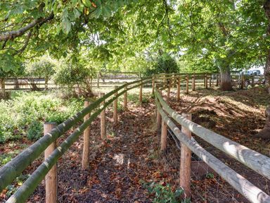 A fenced dirt pathway under trees with leaves on the ground and a vehicle visible in the background at Aluric's Hall in Porlock