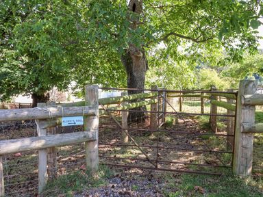A metal gate in a wooden fence with trees and grass at Aluric's Hall in Porlock