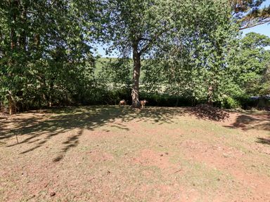 An outdoor area with trees and two goats standing near the tree at Aluric's Hall in Porlock