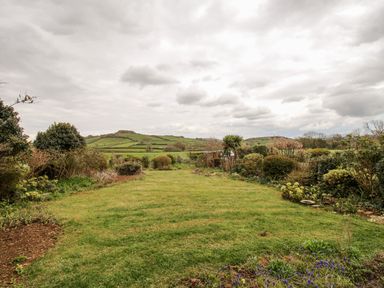 A garden with grass and plants with hills in the background at Rosamond in Shipton Gorge