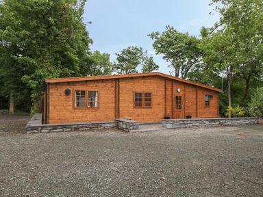 A wooden cabin with windows and a door surrounded by trees at Bryn Derwen Lodge in Bethesda