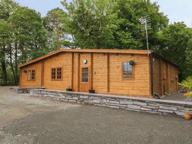 An exterior view of a wooden cabin surrounded by trees with a paved area and a stone retaining wall at Bryn Derwen Lodge in Bethesda