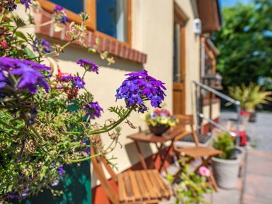 Purple flowers with wooden chairs and table outside a building at Covert Farm Cwtch in Jeffreyston