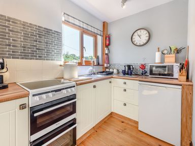 A kitchen with stove sink microwave and refrigerator at Covert Farm Cwtch in Jeffreyston