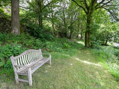 A bench in a wooded area at Sygun View in Beddgelert