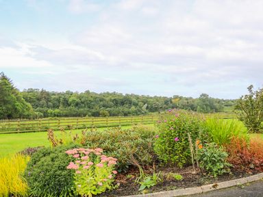 A garden bed with various plants and flowers near a grassy field with a wooden fence and trees at Quiet Waters Cottage in Loughan near Coleraine
